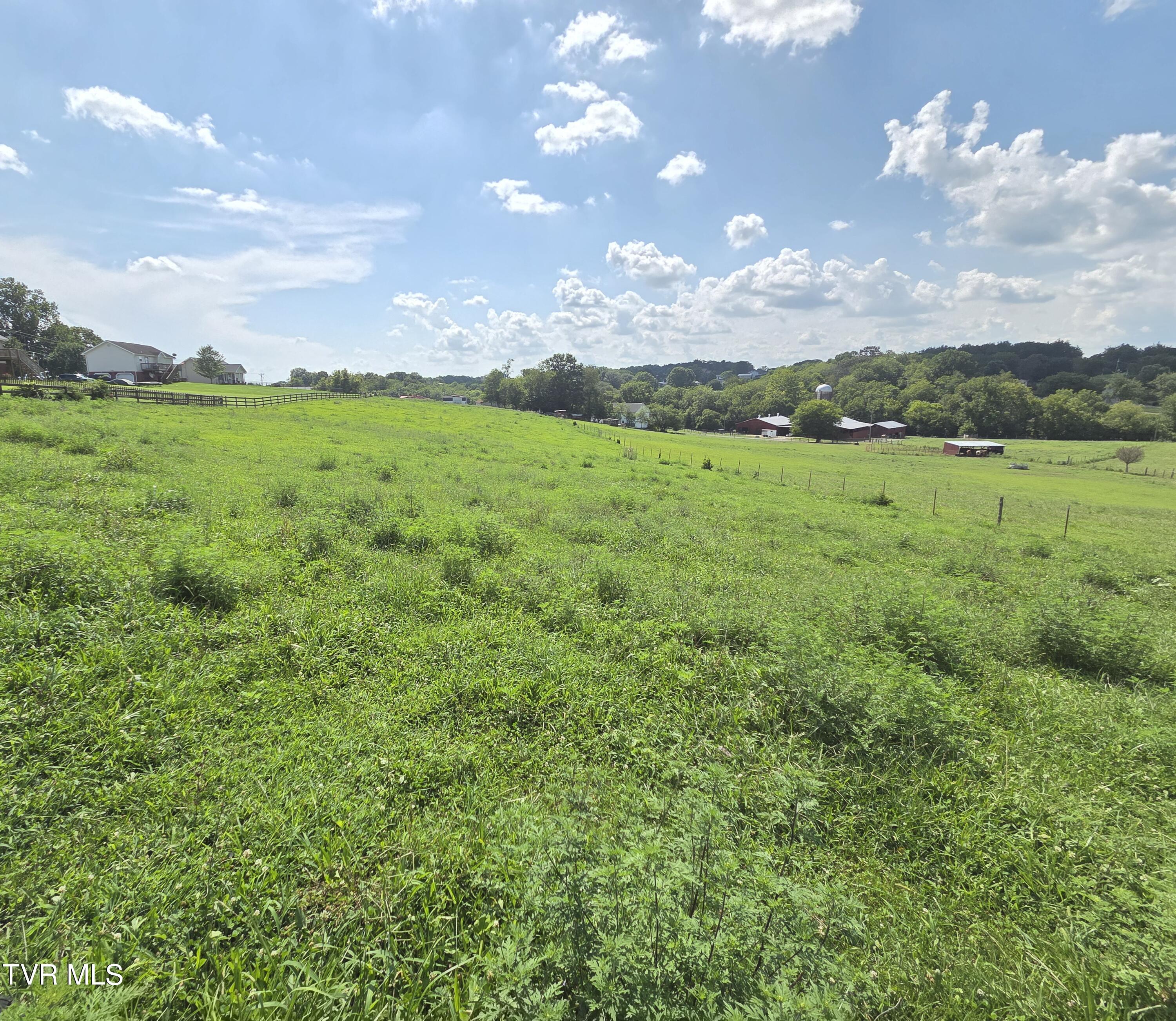 114 Miller Street Limestone, TN 37681 - Photo 20 of 49 12