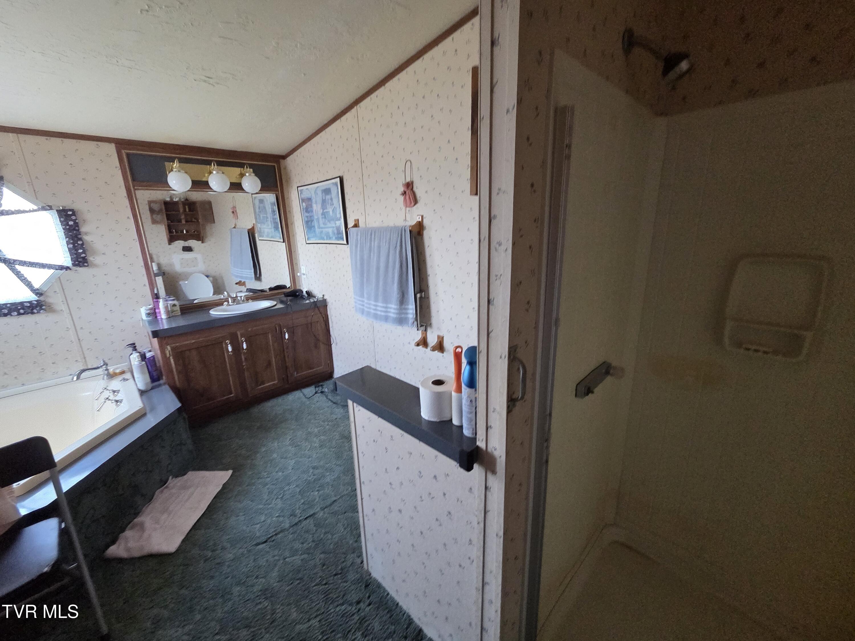 114 Miller Street Limestone, TN 37681 - Photo 42 of 49 38