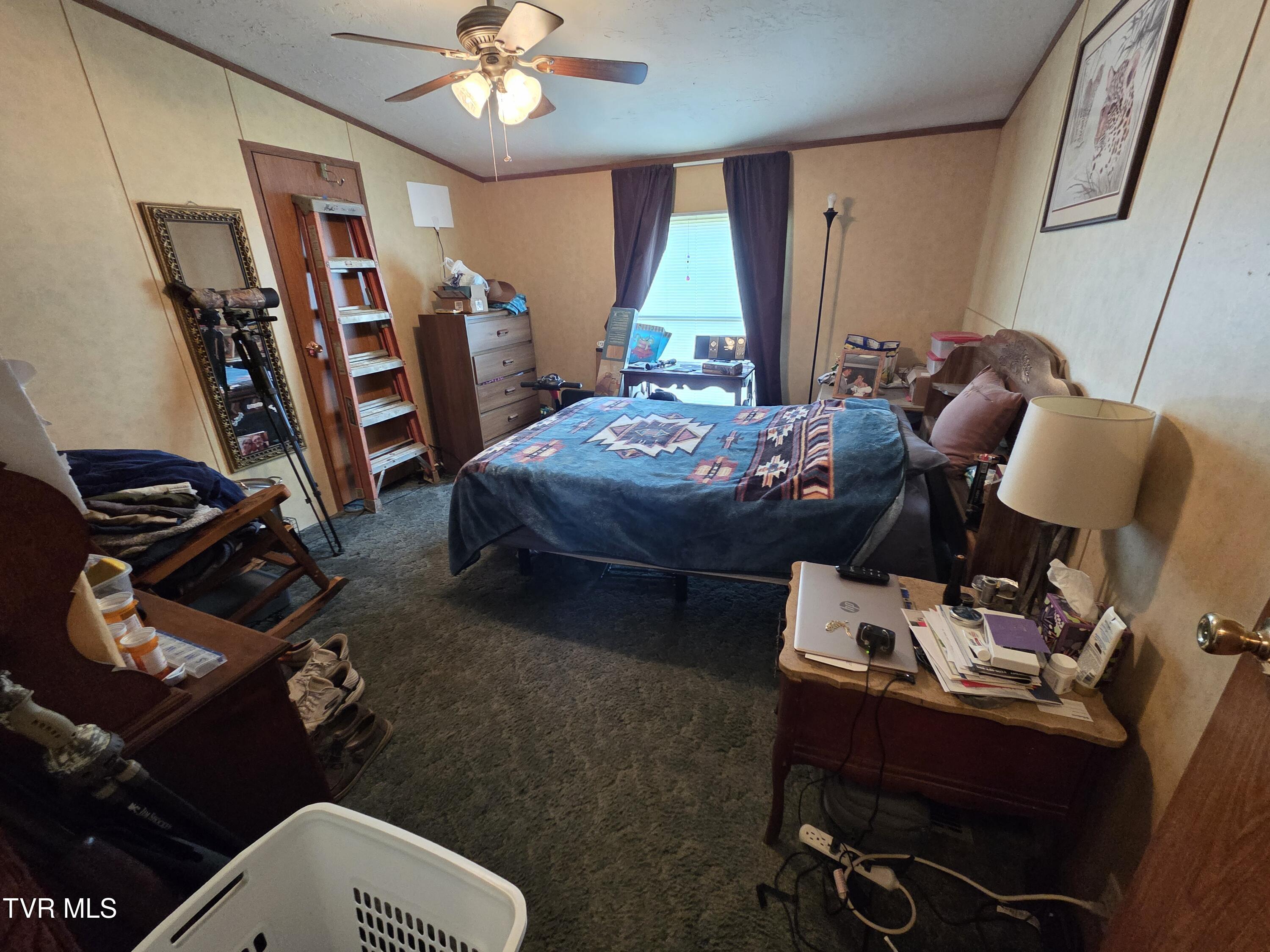 114 Miller Street Limestone, TN 37681 - Photo 47 of 49 45