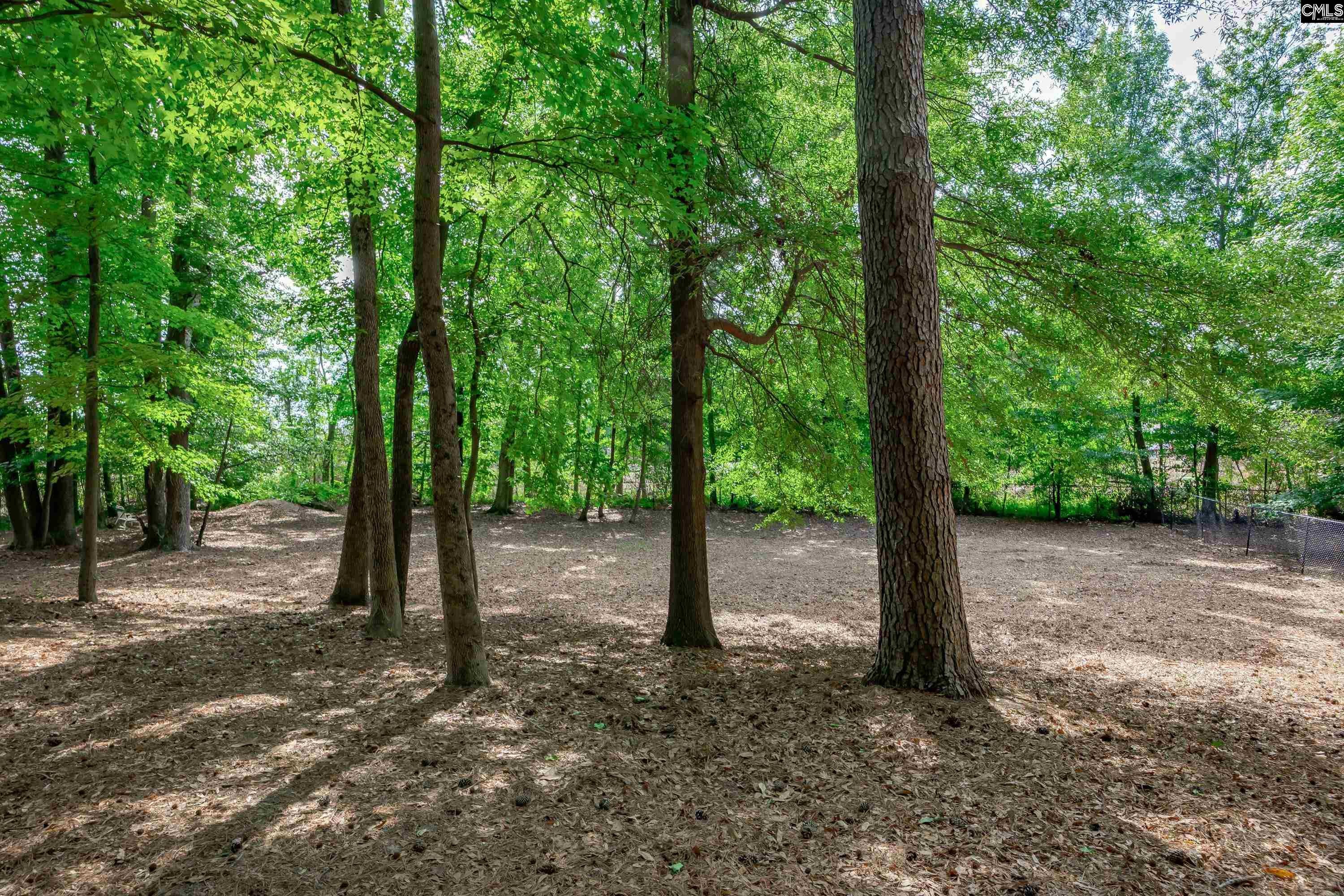 847 Forest Park Road Columbia, SC 29209 - Photo 37 of 40 Gallery Image 37