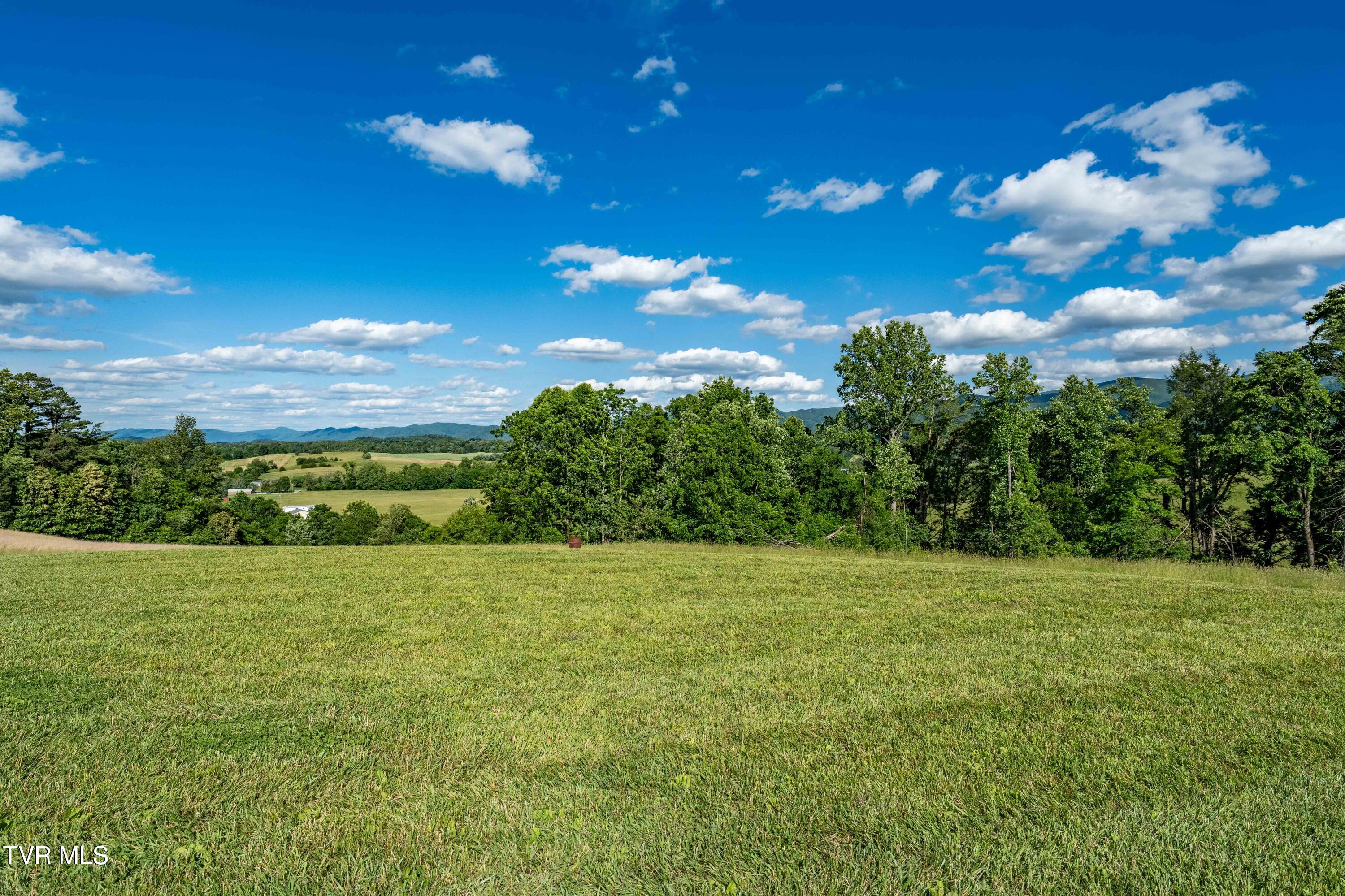 7540 Erwin Highway Chuckey, TN 37641 - Photo 68 of 77 7540 Erwin Hwy (92 of 146)