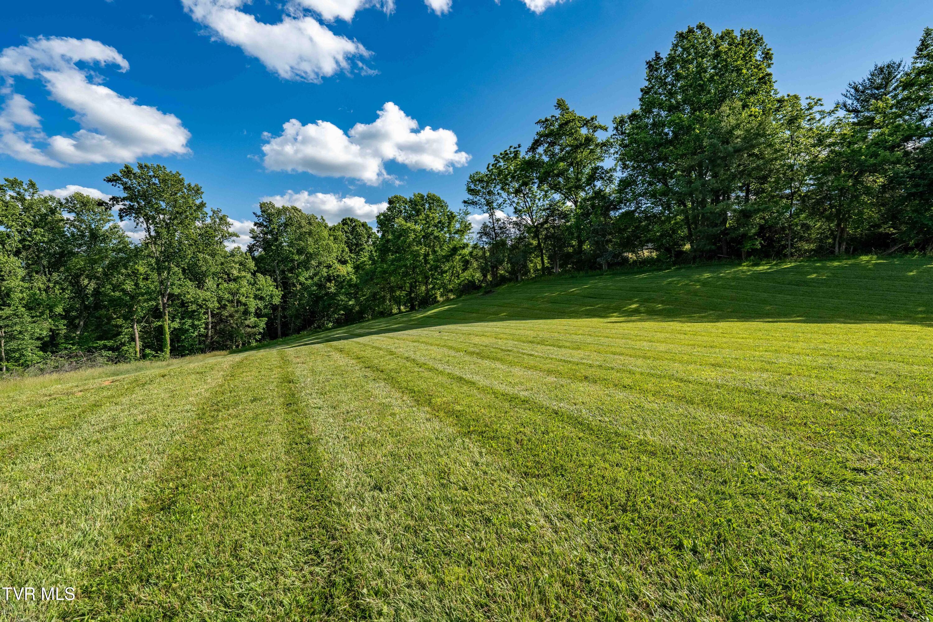 7540 Erwin Highway Chuckey, TN 37641 - Photo 69 of 77 7540 Erwin Hwy (93 of 146)