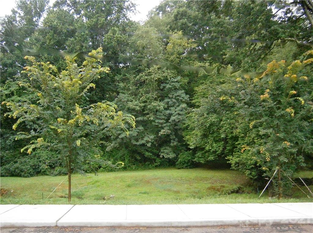 99999 Dolan Road, Unit TRACT 3 Waynesville, NC 28786 - Photo 1 of 6 Gallery Image 1