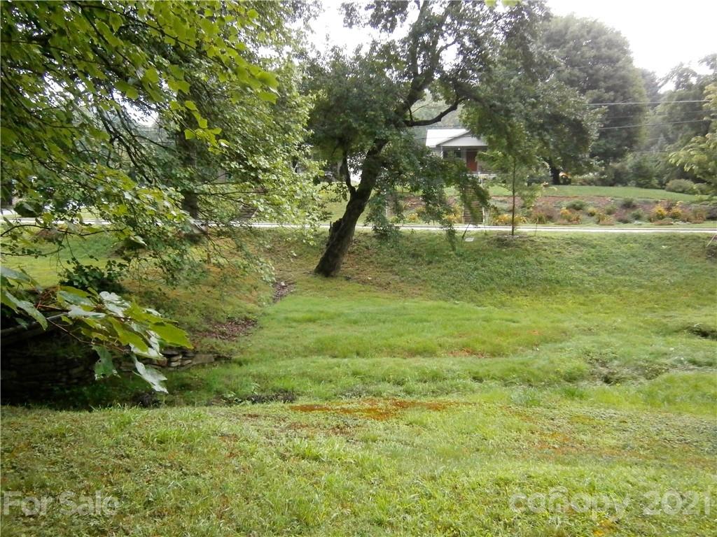 99999 Dolan Road, Unit TRACT 3 Waynesville, NC 28786 - Photo 3 of 6 Gallery Image 3