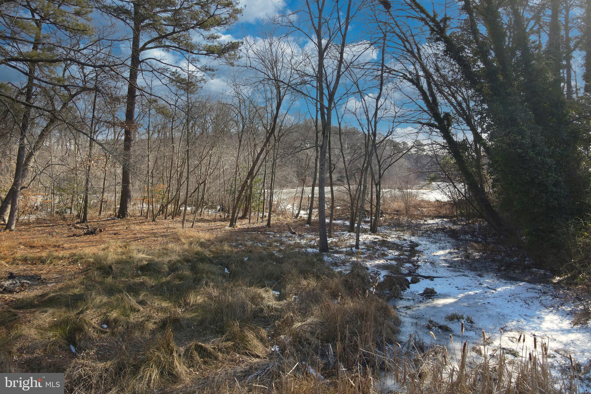 3421 Allen Road Eden, MD 21822 - Photo 11 of 56 a view of a yard with trees