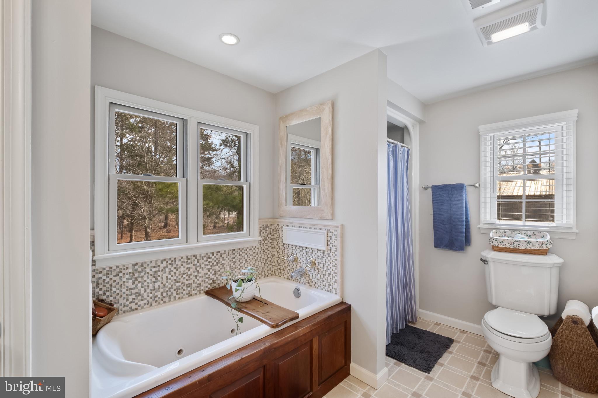 3421 Allen Road Eden, MD 21822 - Photo 46 of 56 a bathroom with a sink toilet and shower