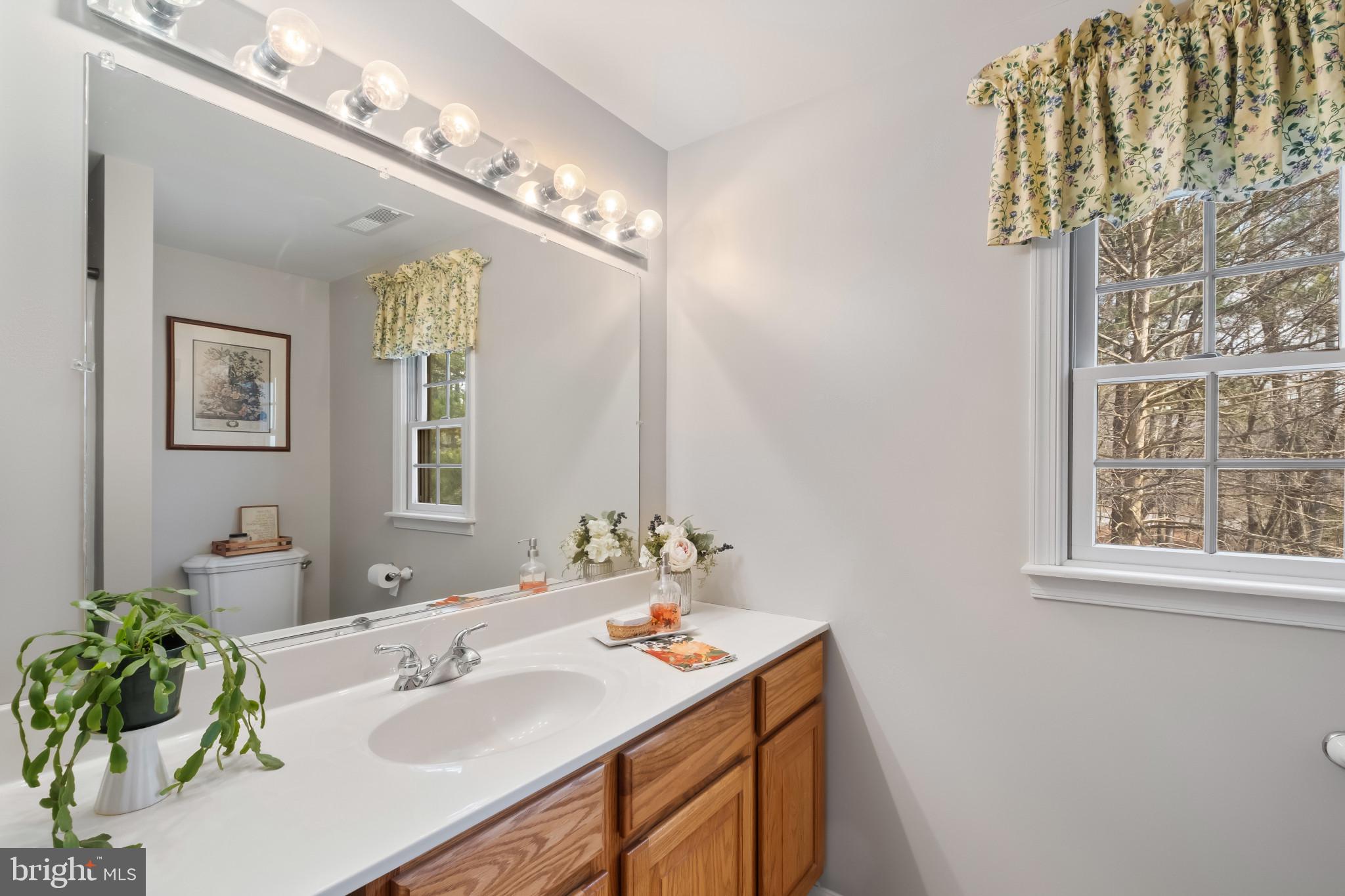 3421 Allen Road Eden, MD 21822 - Photo 48 of 56 a bathroom with a sink and a mirror