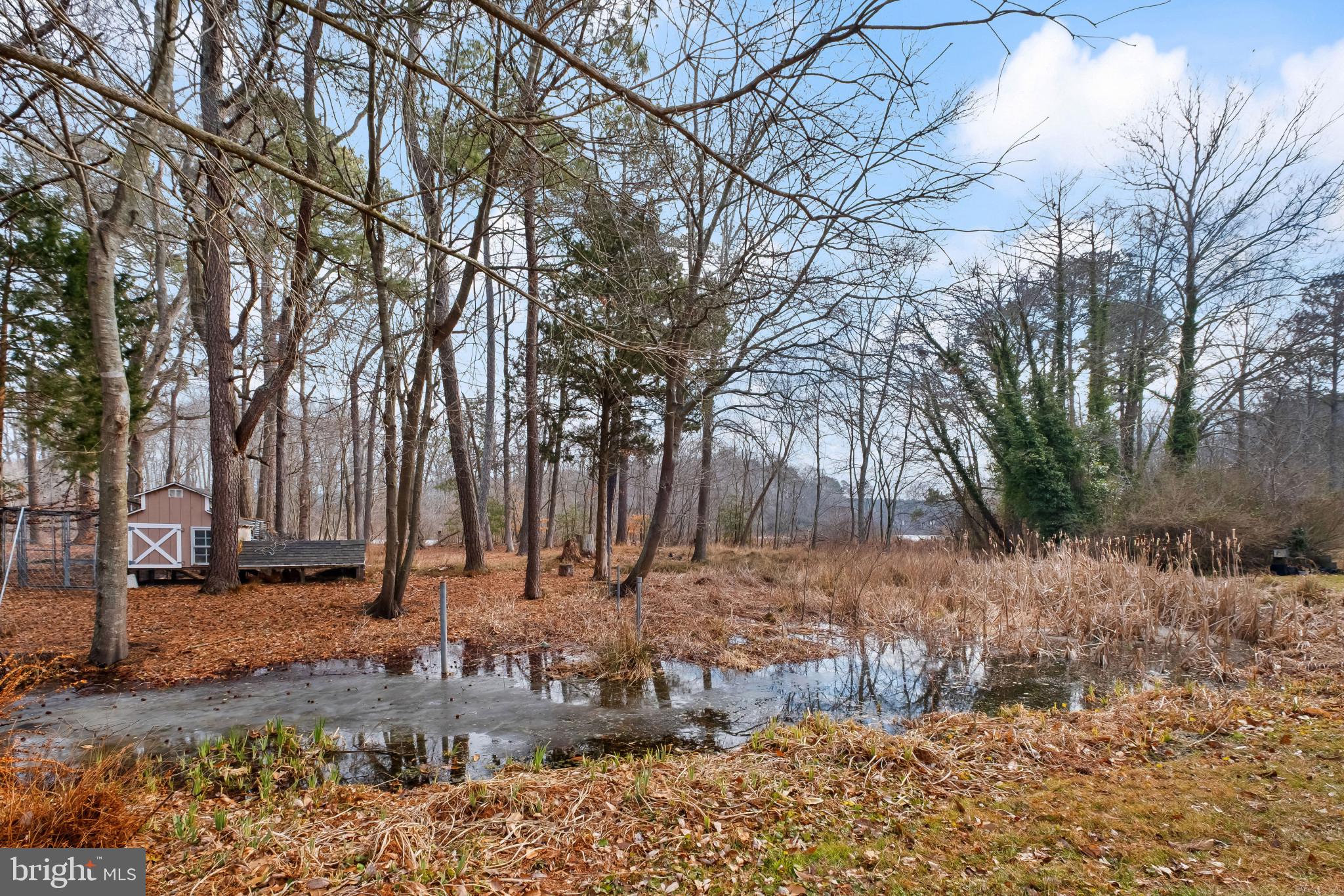 3421 Allen Road Eden, MD 21822 - Photo 56 of 56 a view of a yard with large trees