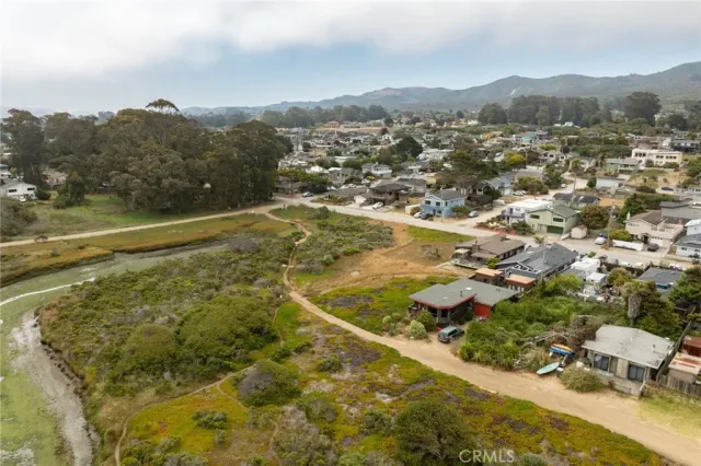 an aerial view of residential houses with outdoor space and trees