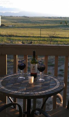 6020 Peerless Farms Road Peyton, CO 80831 - Photo 8 of 8 Relax and enjoy the views!