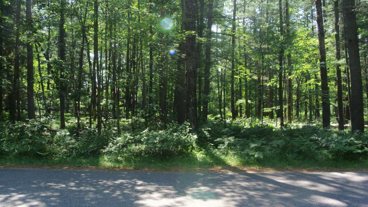 Lot 249 Ridgewood Drive Minocqua, WI 54548 - Photo 18 of 20 Gallery Image 18