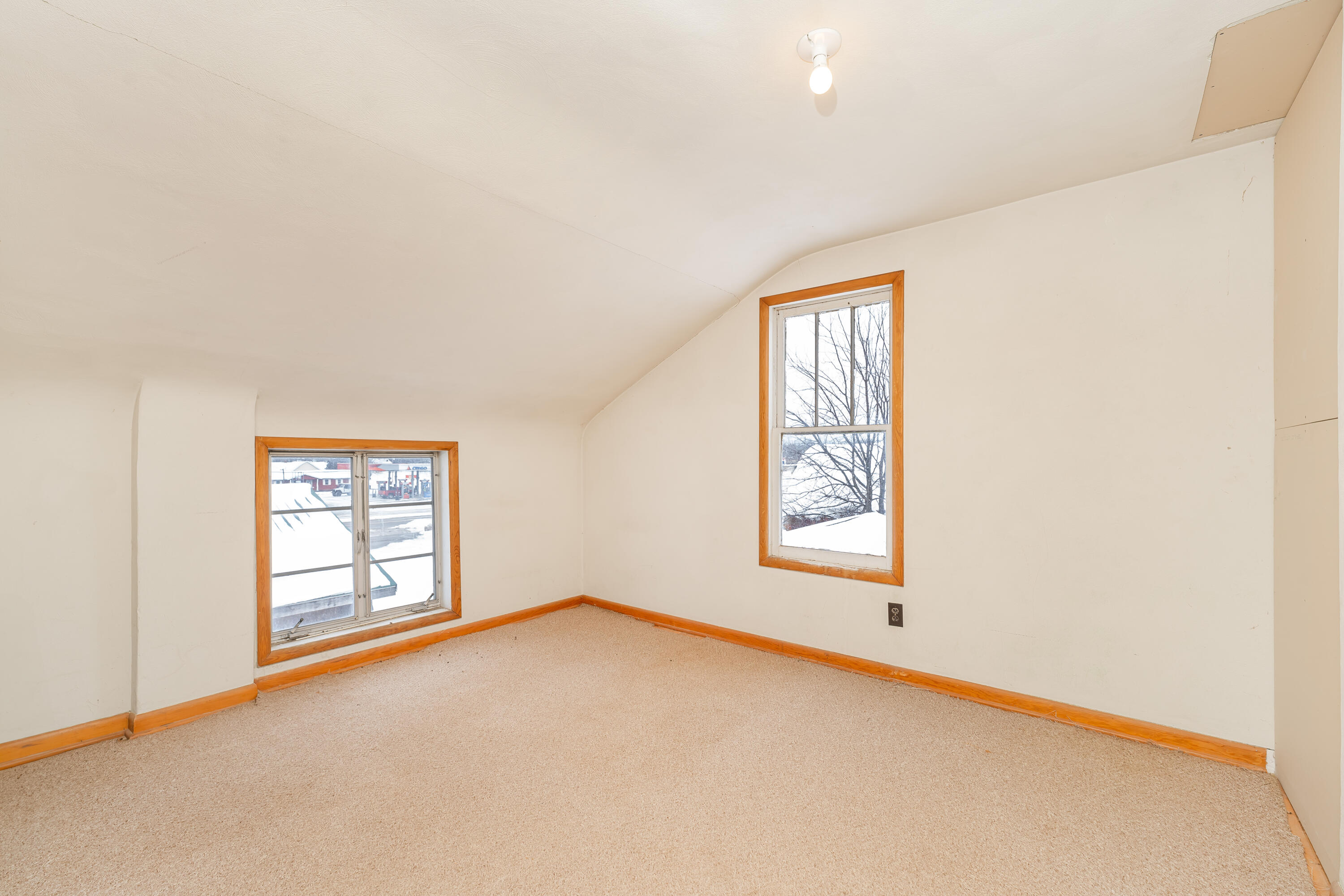 111 Fountain Street Marshall, MI 49068 - Photo 23 of 37 DSC02814