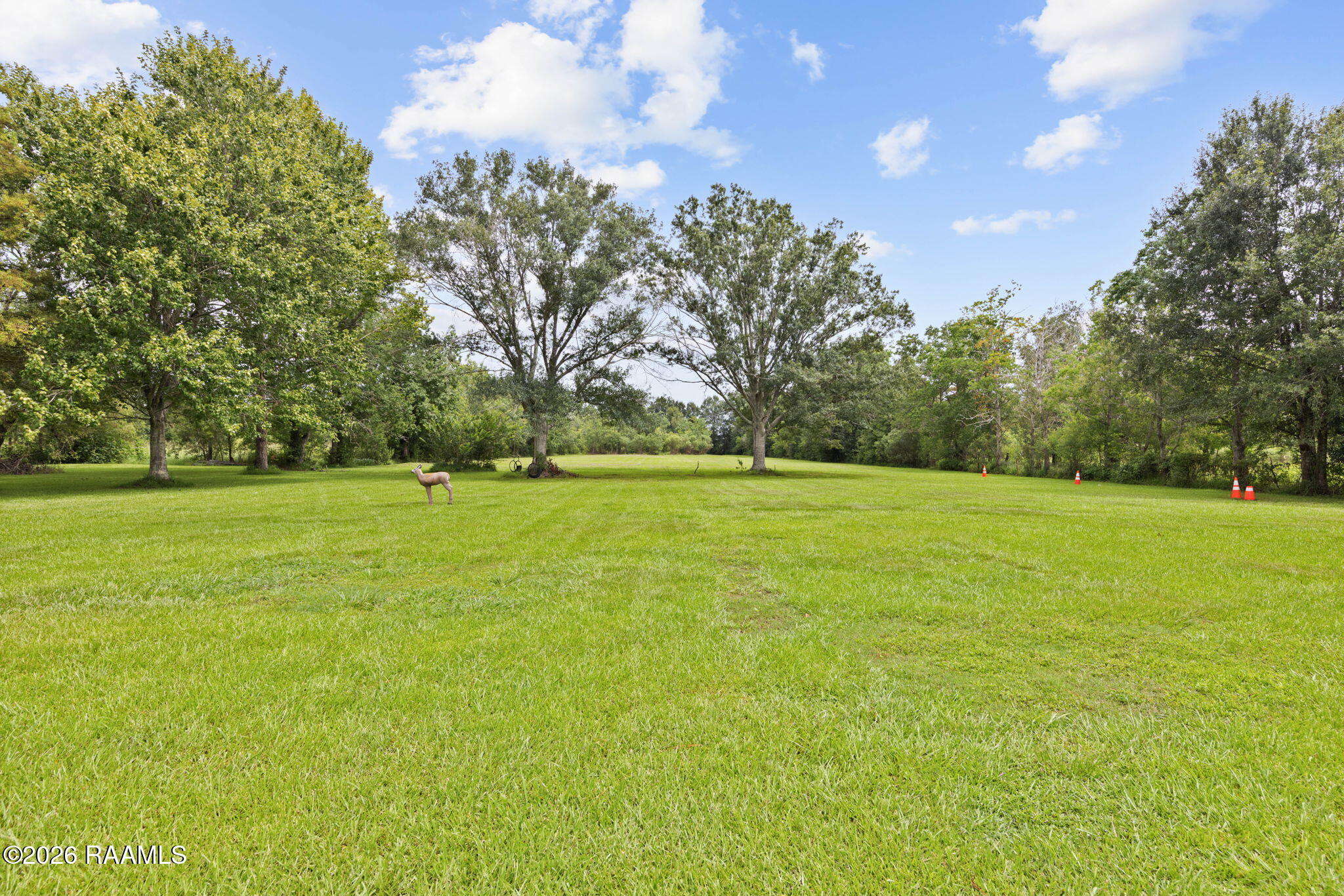 3308 Dutil Road Abbeville, LA 70510 - Photo 21 of 28 23-web-or-mls-3308 Dutil Rd-23