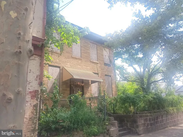 a front view of a house with plants and trees