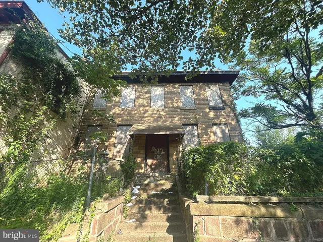 a view of a tree with a tree