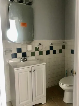 a bathroom with a toilet a sink and mirror