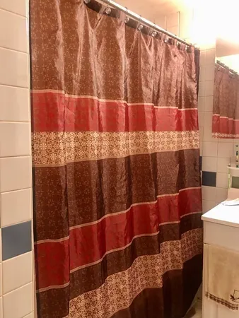 a blue curtain with rug and a bathroom