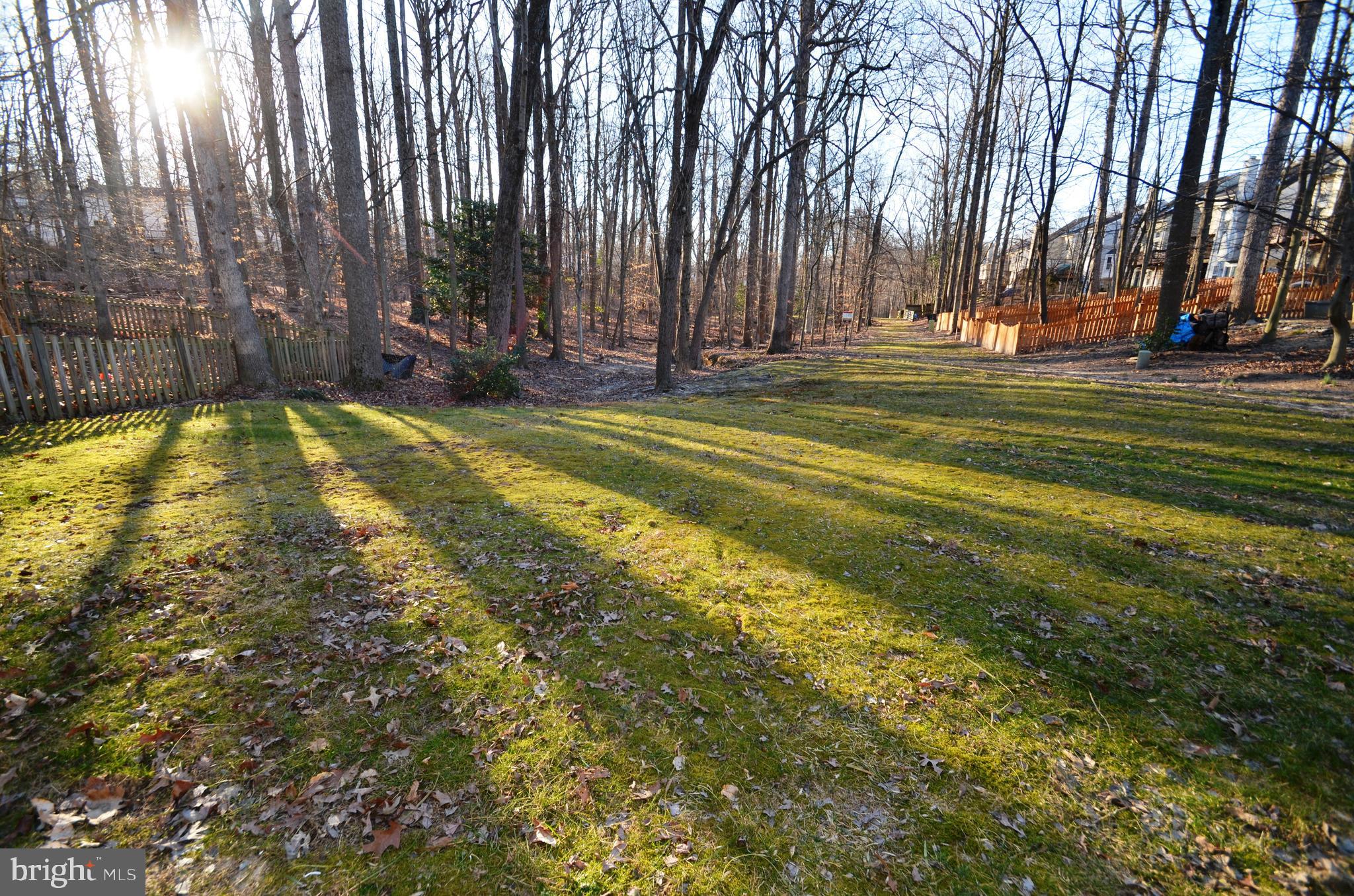 7915 Gambrill Court Springfield, VA 22153 - Photo 25 of 25 Backyard