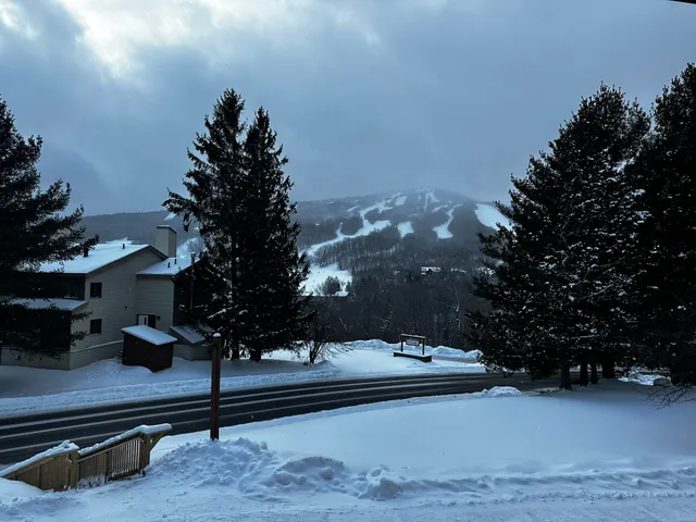 $219,000 | 5 C Snow Mountain Village, Unit 123, West Dover, VT 05356