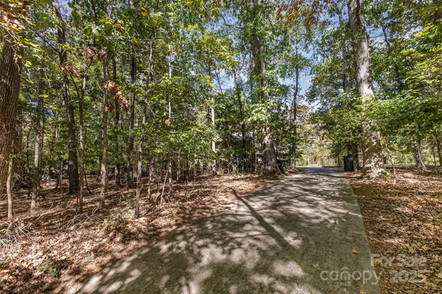 a view of a forest with trees