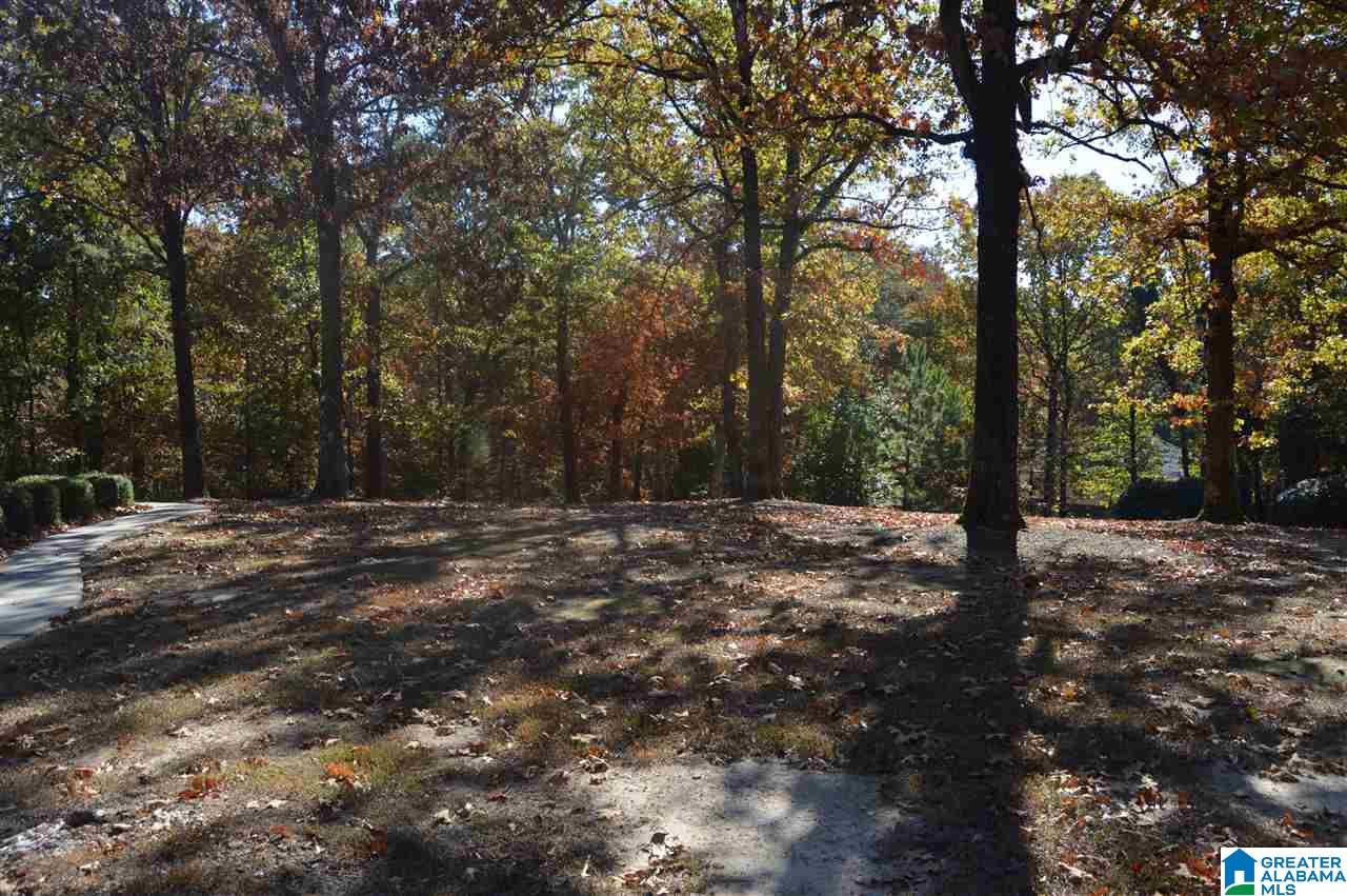 75 Miller Circle Pelham, AL 35124 - Photo 3 of 22