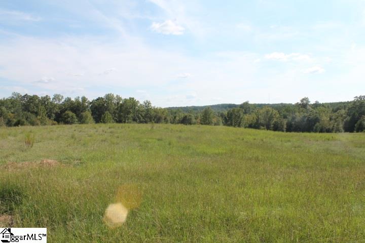 0 Traynham Road, Unit TRACT A/B Honea Path, SC 29654 - Photo 1 of 36