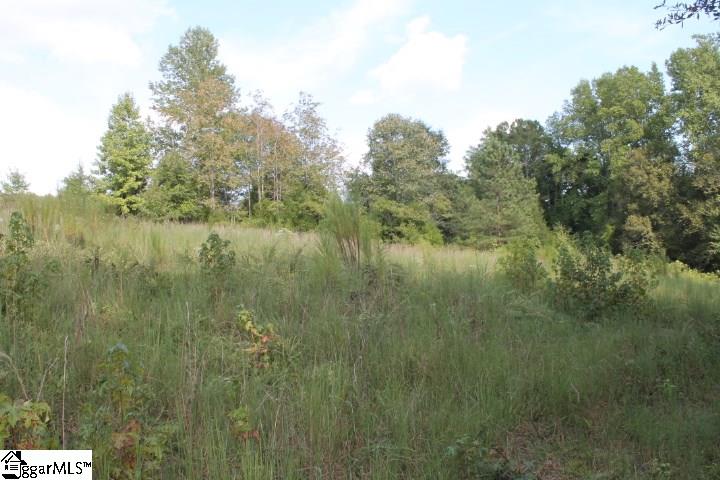 0 Traynham Road, Unit TRACT A/B Honea Path, SC 29654 - Photo 11 of 36