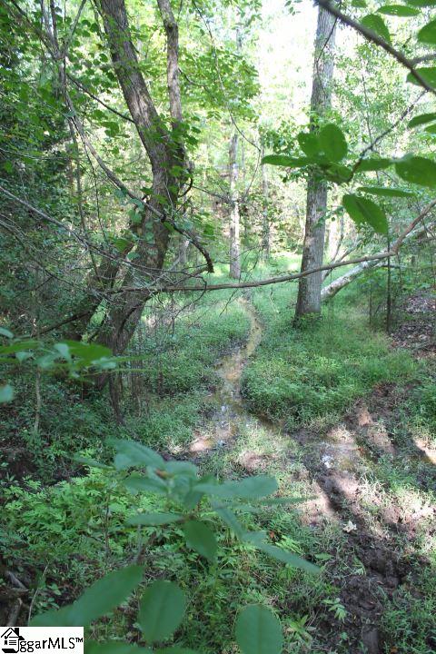 0 Traynham Road, Unit TRACT A/B Honea Path, SC 29654 - Photo 12 of 36 Possible Pond Site