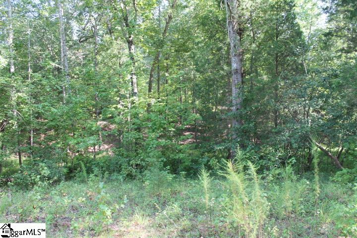 0 Traynham Road, Unit TRACT A/B Honea Path, SC 29654 - Photo 15 of 36