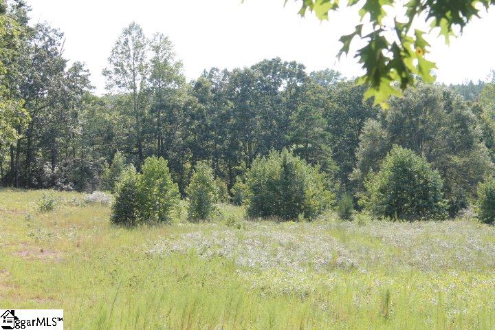 0 Traynham Road, Unit TRACT A/B Honea Path, SC 29654 - Photo 16 of 36