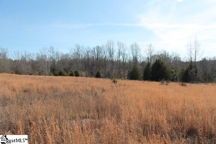 0 Traynham Road, Unit TRACT A/B Honea Path, SC 29654 - Photo 18 of 36