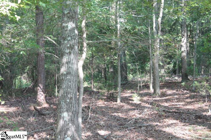 0 Traynham Road, Unit TRACT A/B Honea Path, SC 29654 - Photo 19 of 36