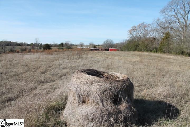 0 Traynham Road, Unit TRACT A/B Honea Path, SC 29654 - Photo 20 of 36
