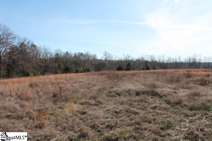 0 Traynham Road, Unit TRACT A/B Honea Path, SC 29654 - Photo 21 of 36