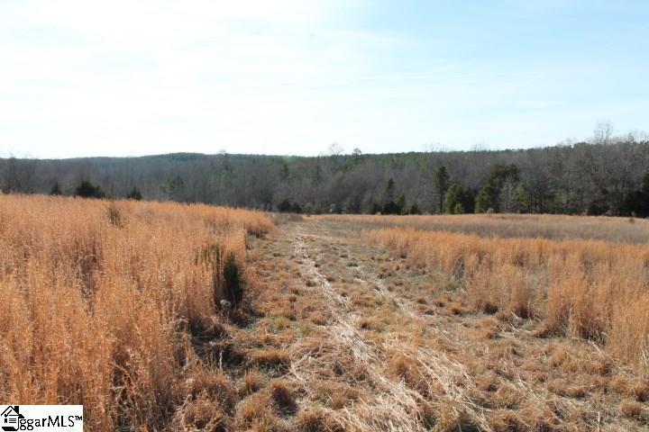 0 Traynham Road, Unit TRACT A/B Honea Path, SC 29654 - Photo 22 of 36