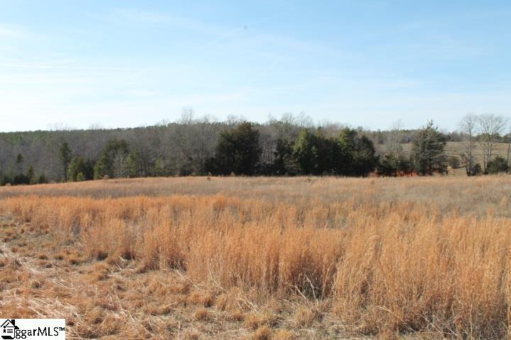 0 Traynham Road, Unit TRACT A/B Honea Path, SC 29654 - Photo 23 of 36