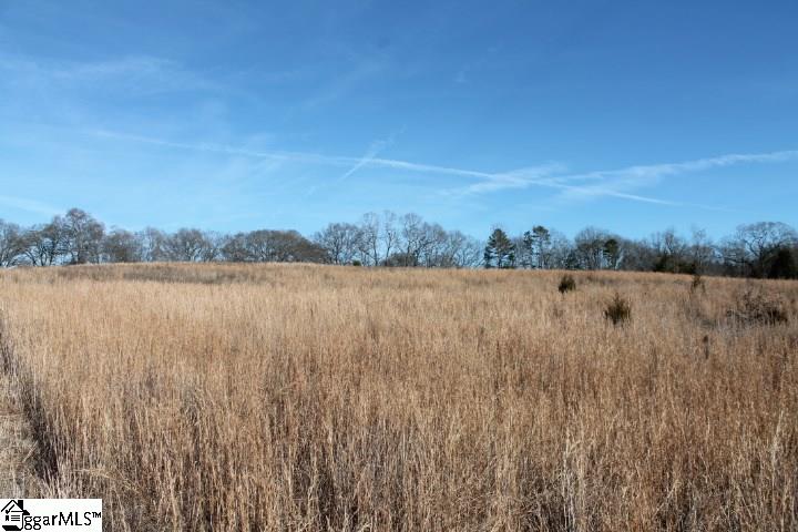 0 Traynham Road, Unit TRACT A/B Honea Path, SC 29654 - Photo 24 of 36