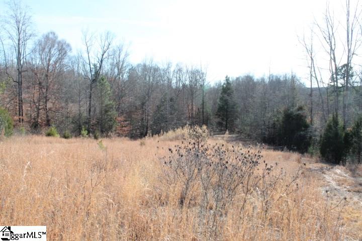 0 Traynham Road, Unit TRACT A/B Honea Path, SC 29654 - Photo 25 of 36