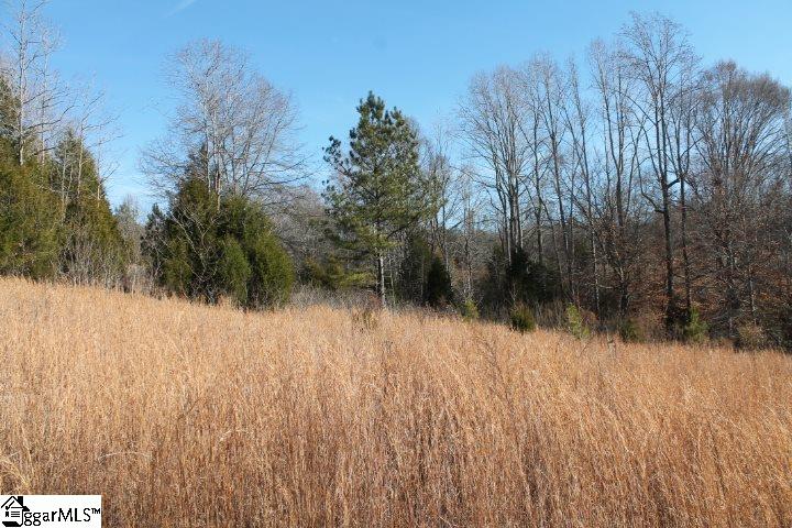 0 Traynham Road, Unit TRACT A/B Honea Path, SC 29654 - Photo 26 of 36