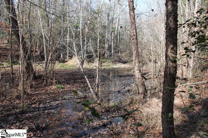 0 Traynham Road, Unit TRACT A/B Honea Path, SC 29654 - Photo 27 of 36 Possible Pond Site Fed by Two Springs