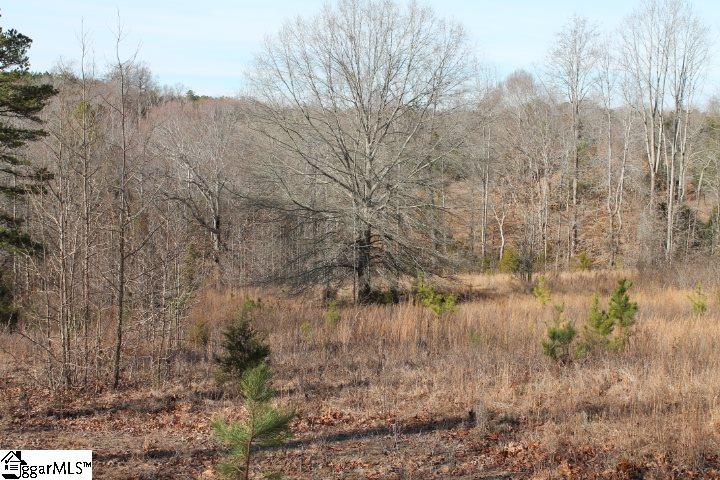 0 Traynham Road, Unit TRACT A/B Honea Path, SC 29654 - Photo 29 of 36