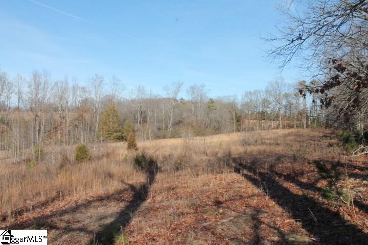 0 Traynham Road, Unit TRACT A/B Honea Path, SC 29654 - Photo 30 of 36