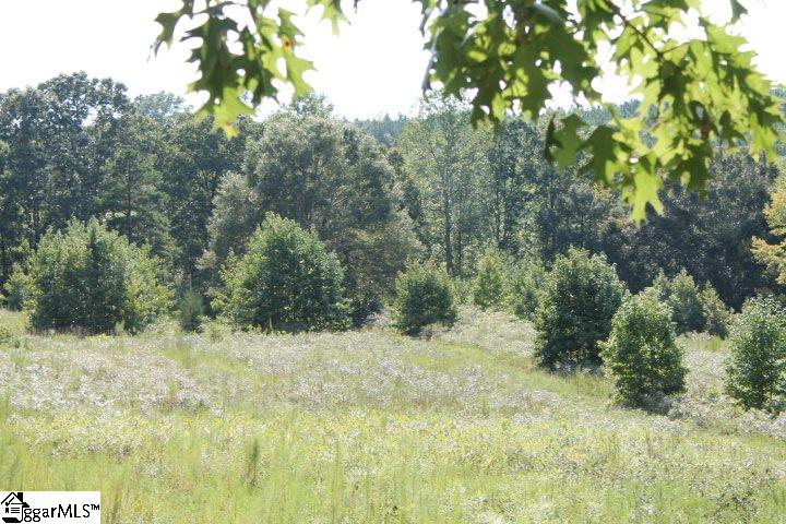 0 Traynham Road, Unit TRACT A/B Honea Path, SC 29654 - Photo 4 of 36