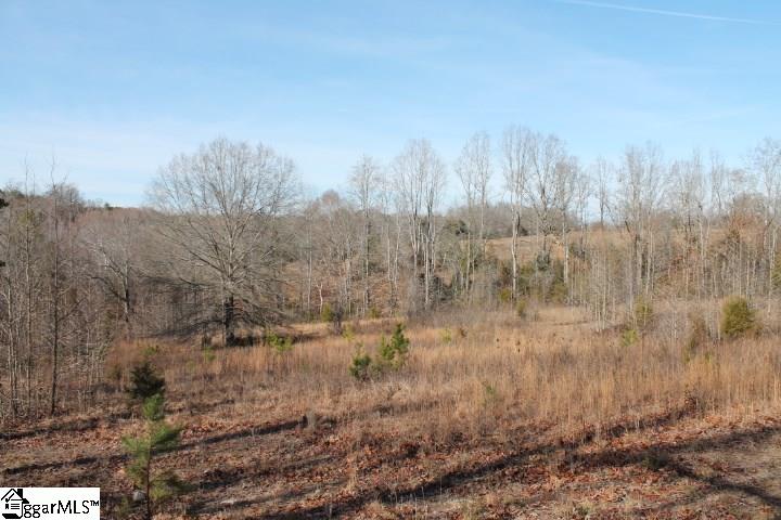0 Traynham Road, Unit TRACT A/B Honea Path, SC 29654 - Photo 31 of 36