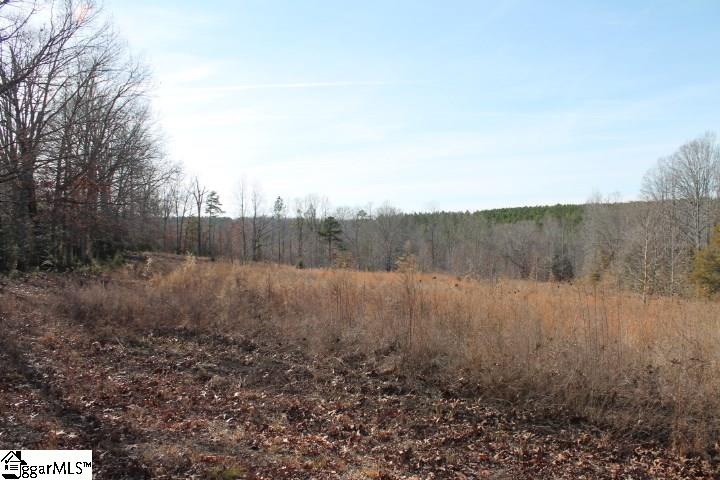 0 Traynham Road, Unit TRACT A/B Honea Path, SC 29654 - Photo 32 of 36