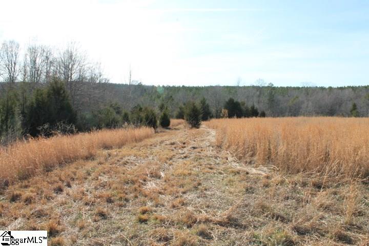 0 Traynham Road, Unit TRACT A/B Honea Path, SC 29654 - Photo 34 of 36