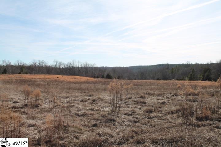 0 Traynham Road, Unit TRACT A/B Honea Path, SC 29654 - Photo 36 of 36