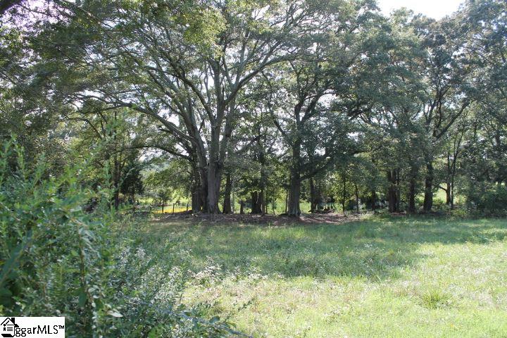 0 Traynham Road, Unit TRACT A/B Honea Path, SC 29654 - Photo 8 of 36