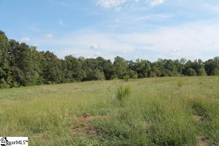 0 Traynham Road, Unit TRACT A/B Honea Path, SC 29654 - Photo 10 of 36