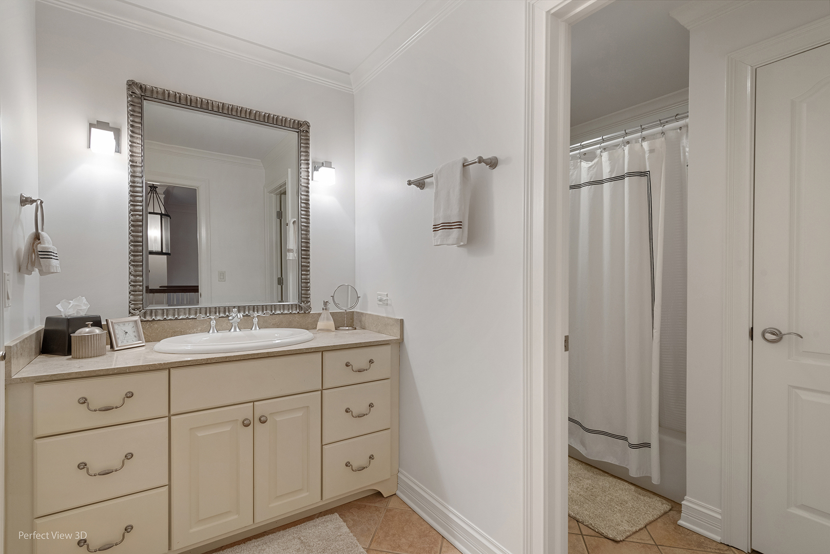 734 Highview Avenue Glen Ellyn, IL 60137 - Photo 18 of 25 a bathroom with a double vanity sink and mirror